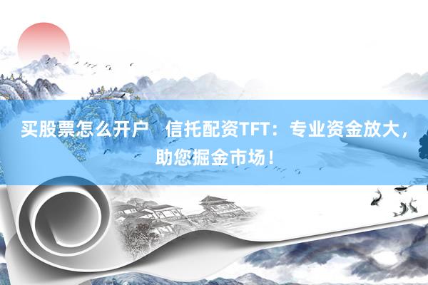 买股票怎么开户   信托配资TFT：专业资金放大，助您掘金市场！