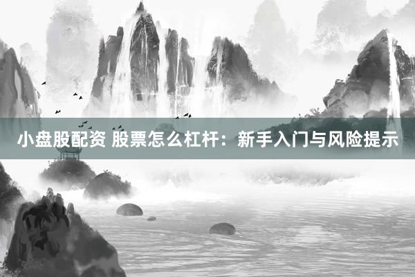 小盘股配资 股票怎么杠杆：新手入门与风险提示