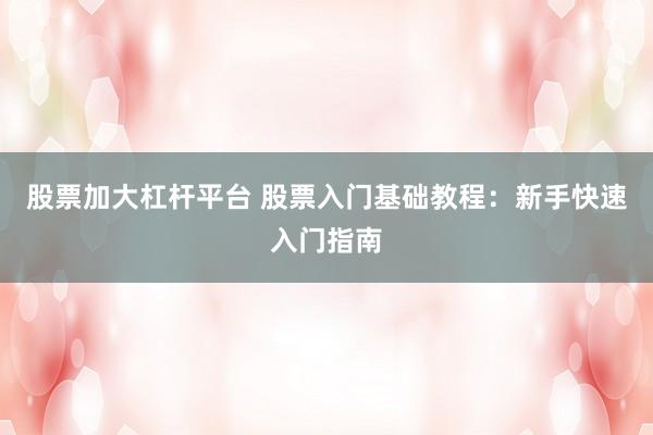 股票加大杠杆平台 股票入门基础教程：新手快速入门指南