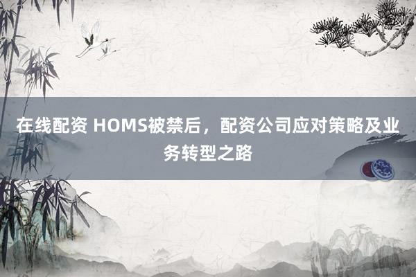 在线配资 HOMS被禁后，配资公司应对策略及业务转型之路