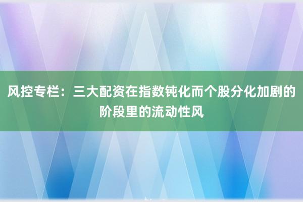 风控专栏：三大配资在指数钝化而个股分化加剧的阶段里的流动性风