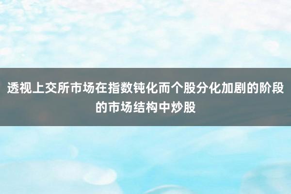 透视上交所市场在指数钝化而个股分化加剧的阶段的市场结构中炒股